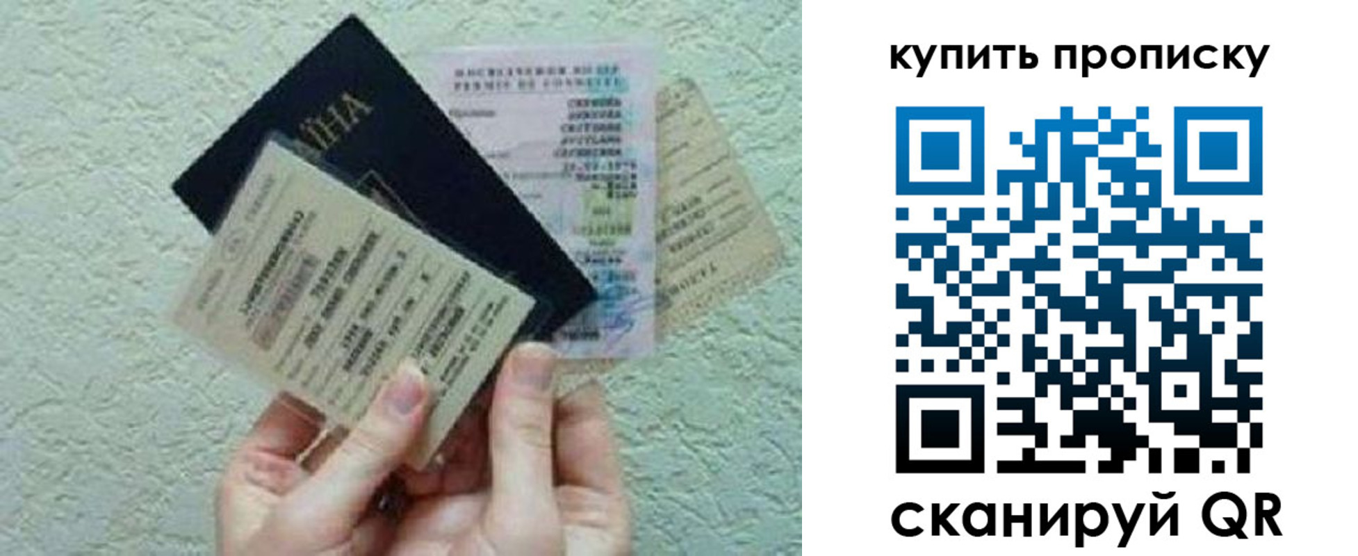 прописка для школы в Соколе